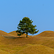 http://test.daegucitytour.com/data/item/1690168165/thumb-7Iuc7KaM7Yis7Ja07IKw7Jy866Gc_80x80.png